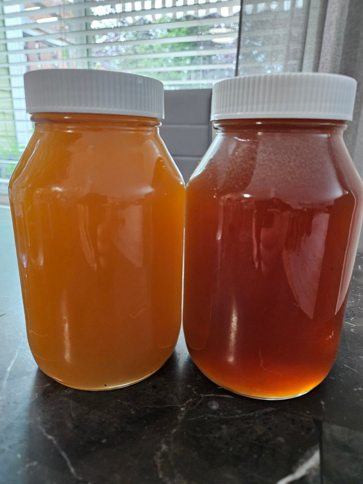 Honey 48oz (local pickup only)